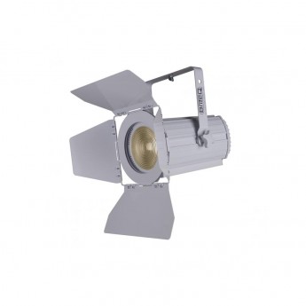 Прожектор BRITEQ BT-THEATRE 100EC WHITE 51980